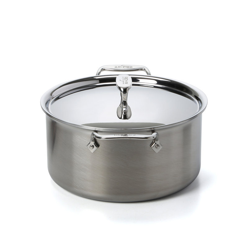 AllClad Stainless Steel Stock Pot & Reviews Wayfair